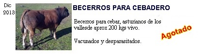 Becerros
